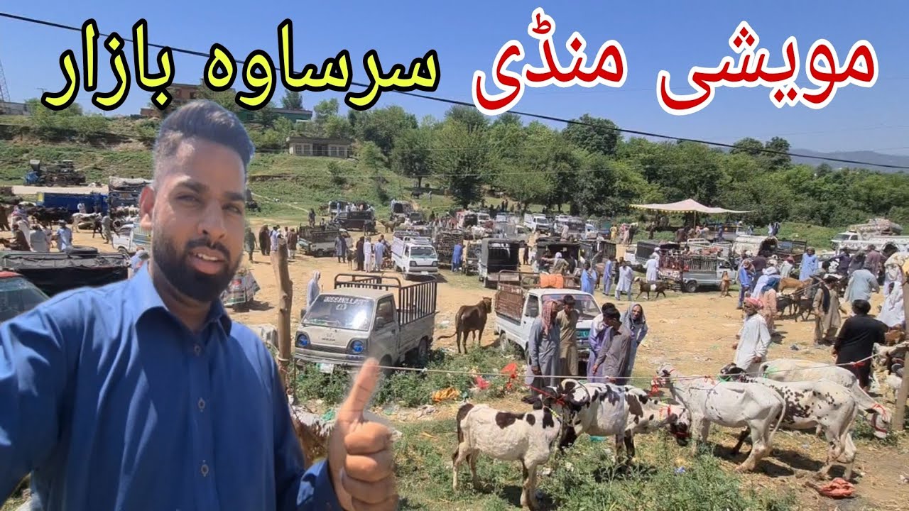 Sarsaw Mandi 2024 Kotli Azad Kashmir | Situation Of Sehnsa Bazaar | Dadyal Azad Kashmir