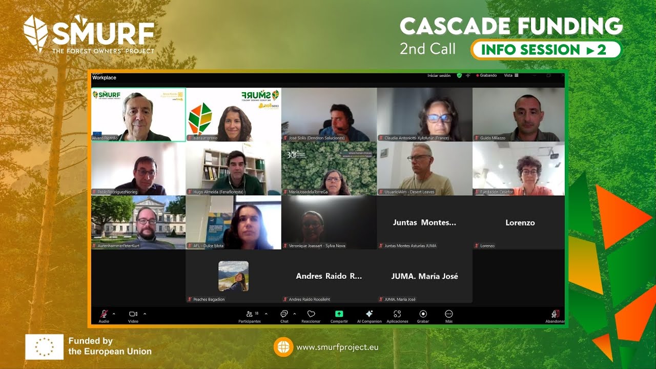 2nd Info Session  Cascade Funding 2nd Call - May 28th, 2025