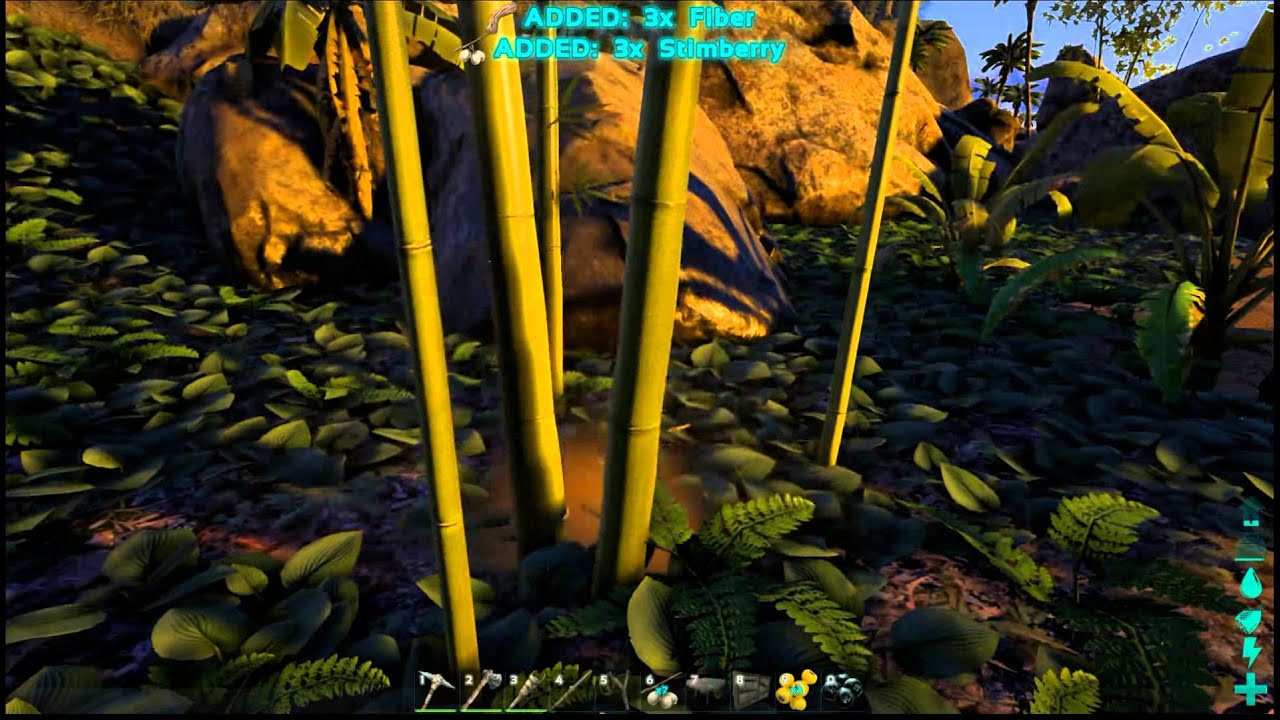 Ark Survival Evolved  - Solo 1 - Build 171.6 Solo - Private Server - Collecting Resources - 1 / 4