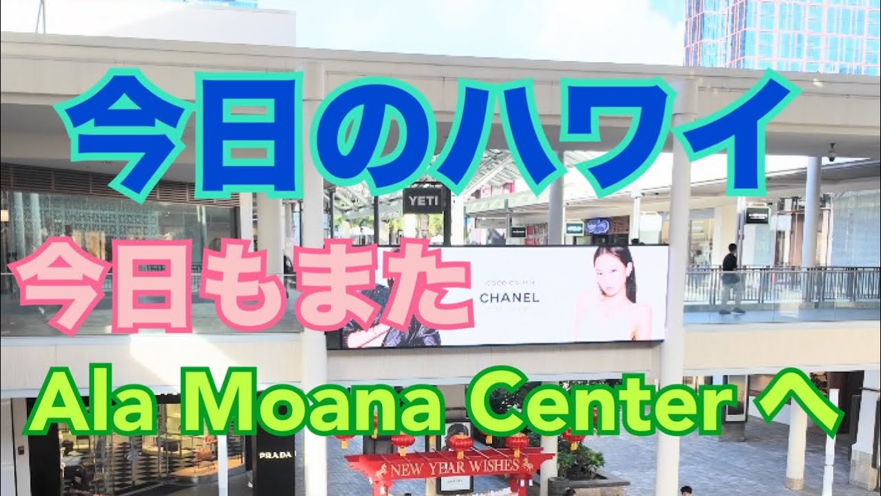 【今日のハワイ】Hawaii Today またAla Moana Center をウロウロ歩いてみました#ハワイ 2026年2月18日