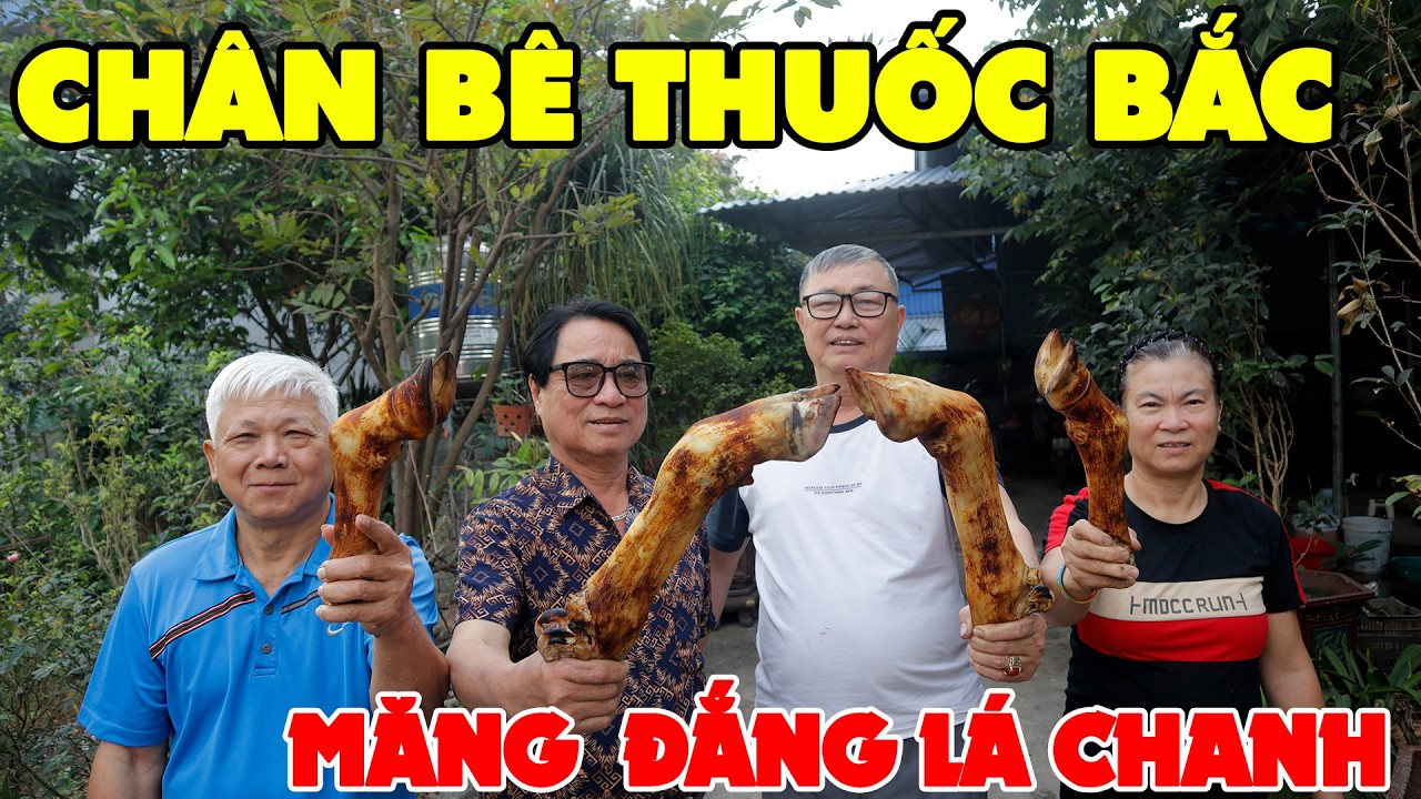 CHÂN BÊ NINH THUỐC BẮC ✦ MĂNG ĐẮNG XÀO LÁ CHANH• Đặc Sản Miền Quê Thái Nguyên