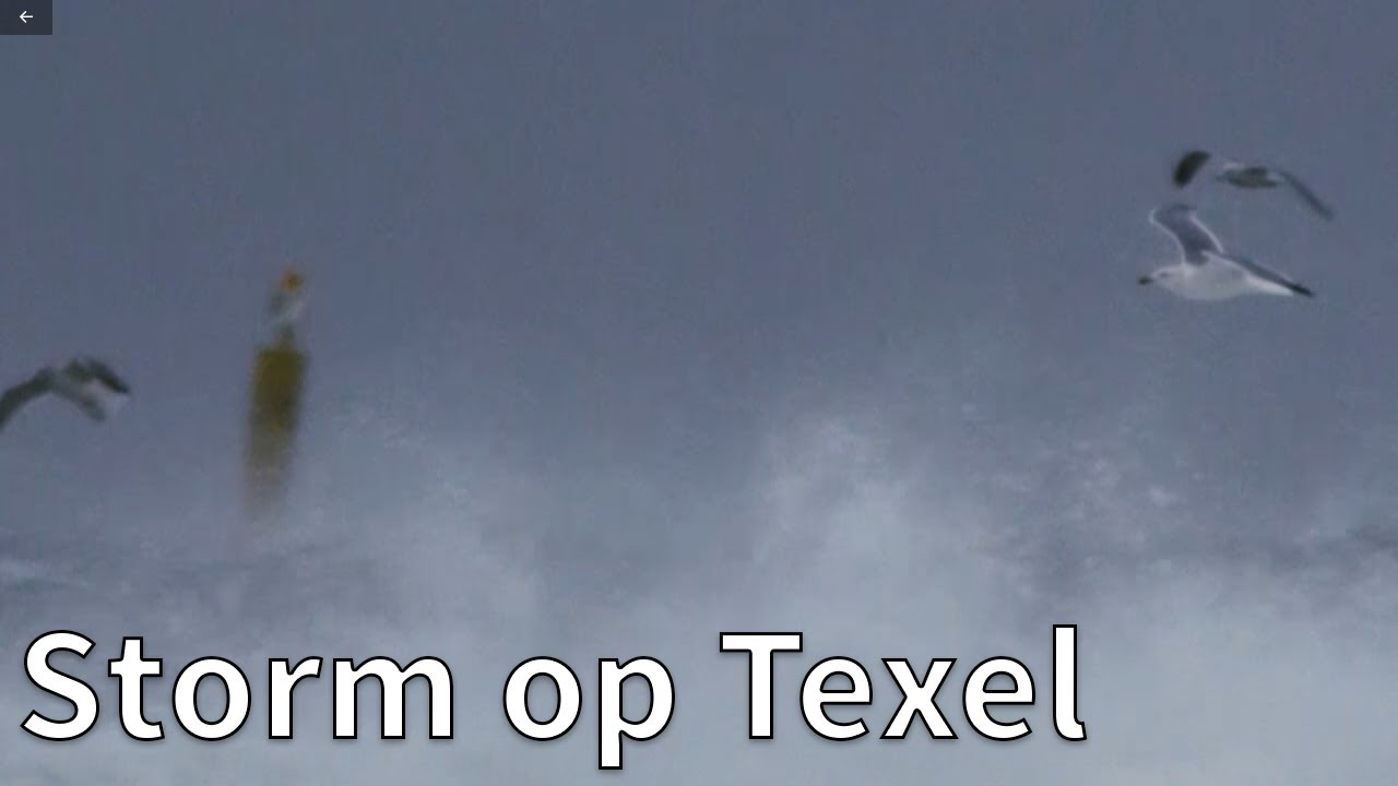 Storm op Texel | Op pad met Ruben