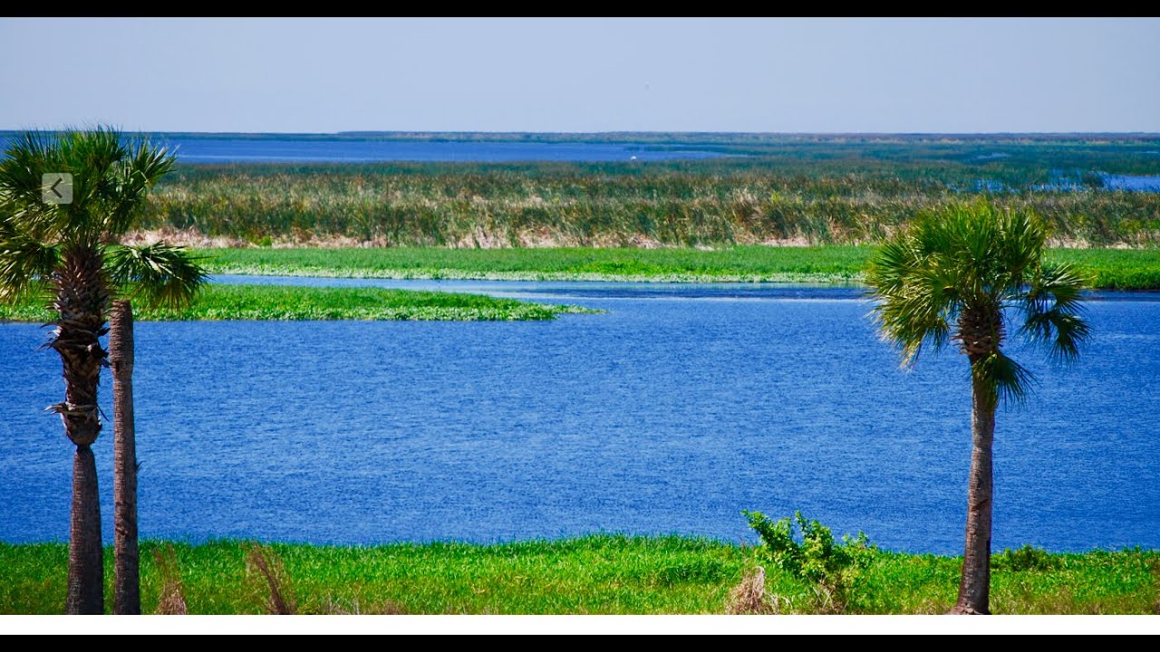 Driving along Lake Okeechobee in Florida