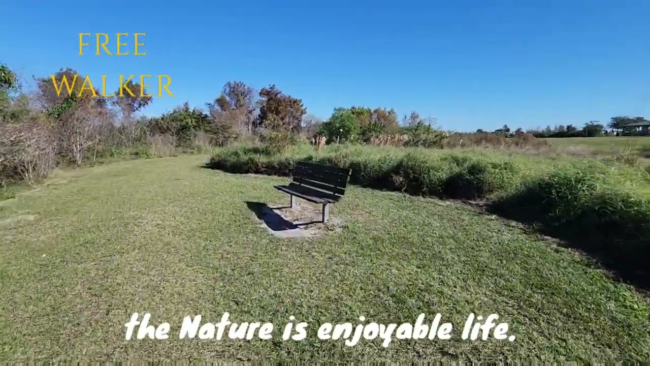 Free Walker #Beautiful #Lakesorlando #Followme #Lakes #Nature #Forest #Pasandolabien 