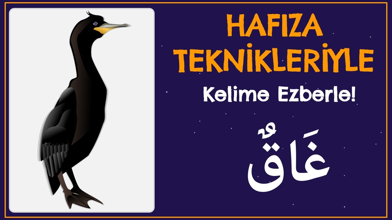 Hafıza Teknikleriyle Arapça Kelime Ezberle! 82