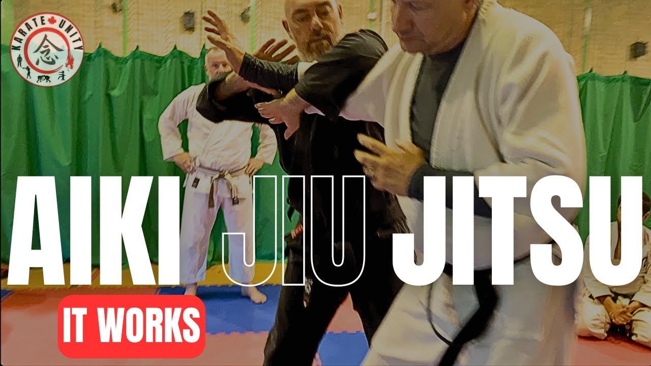 Aiki Jiu Jitsu : The Underrated Martial Art You Need To Know