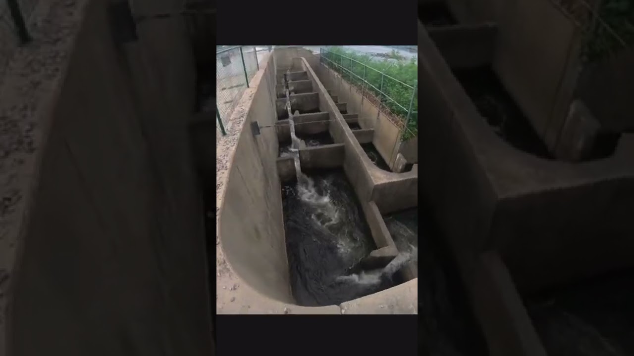 Fish ladder