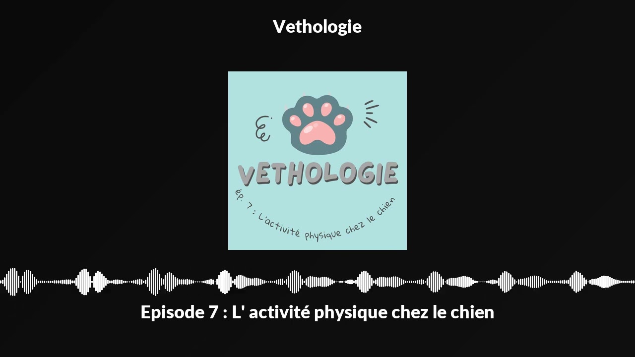 Episode 7 : L' activité physique chez le chien