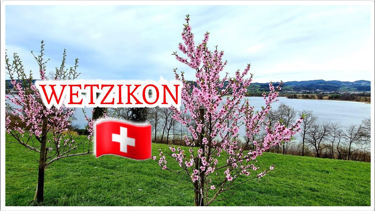 Walking Tour in Wetzikon 4K