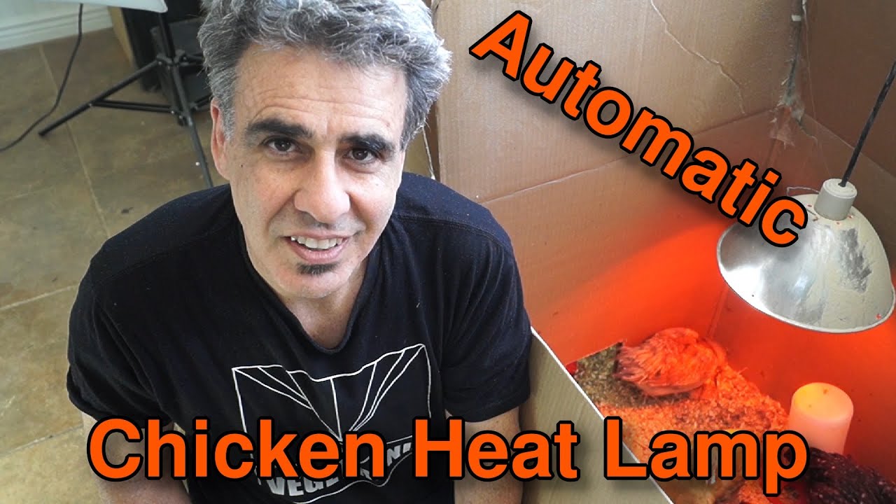 How to Control a Chicken Heat Lamp - With a Temperature Sensor.