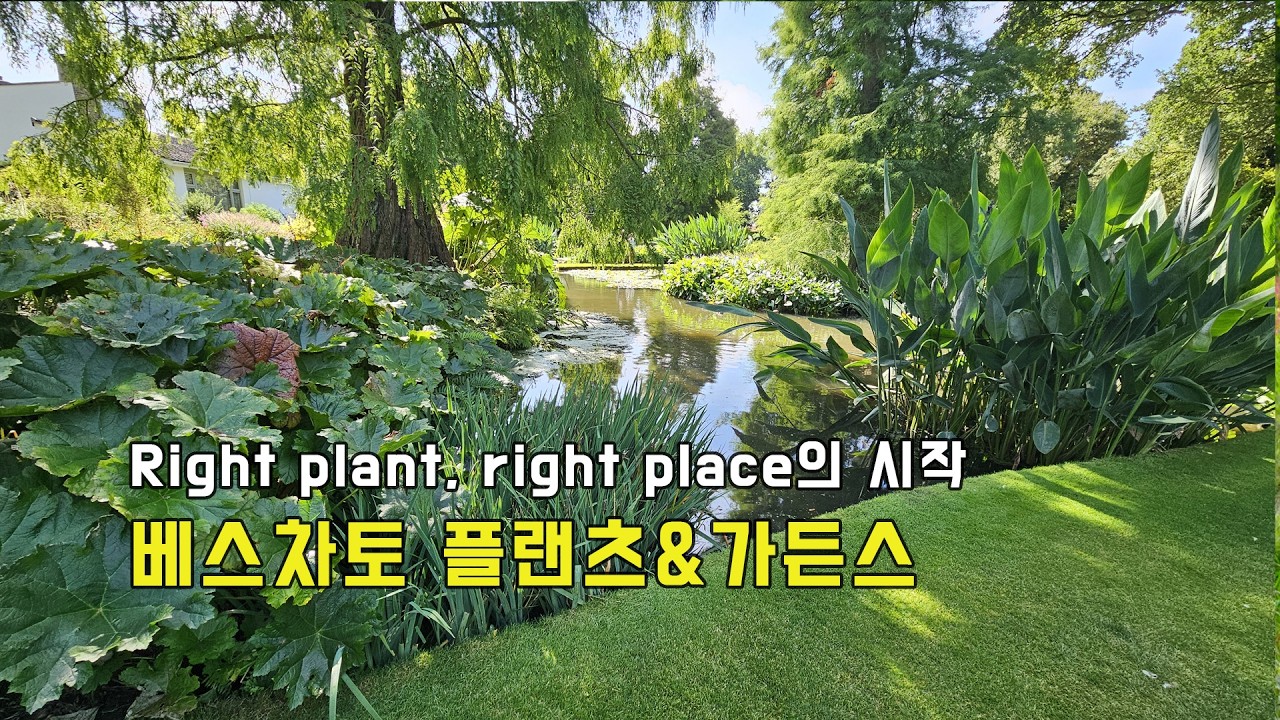 지속 가능한 정원의 시작 “알맞은식물을, 알맞은장소에” 베스차토 플랜츠&가든스