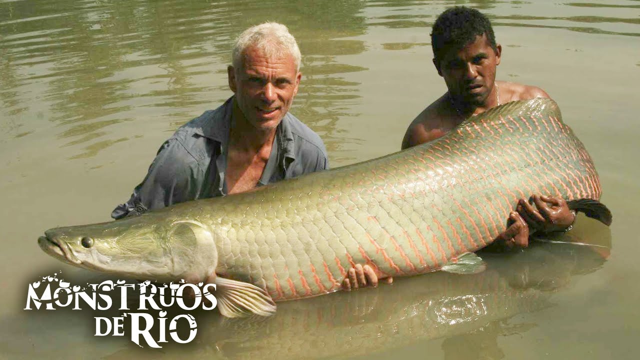 Asesinos del Amazonas:  En las Profundidades Acecha un Dinosaurio | T1 E04 | Monstruos de R&iacute;o
