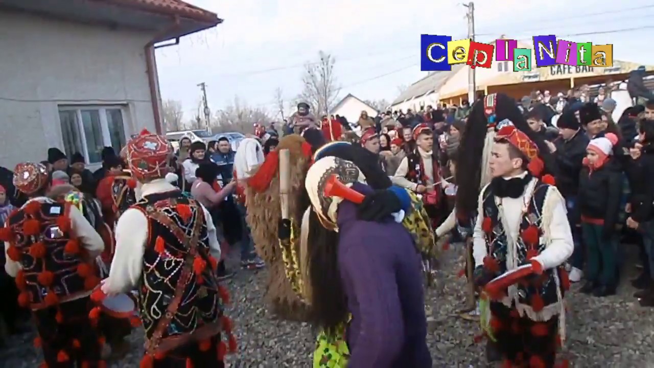 Ursul de la CEPLENITA ~ Comuna CEPLENITA - 31.12.2016
