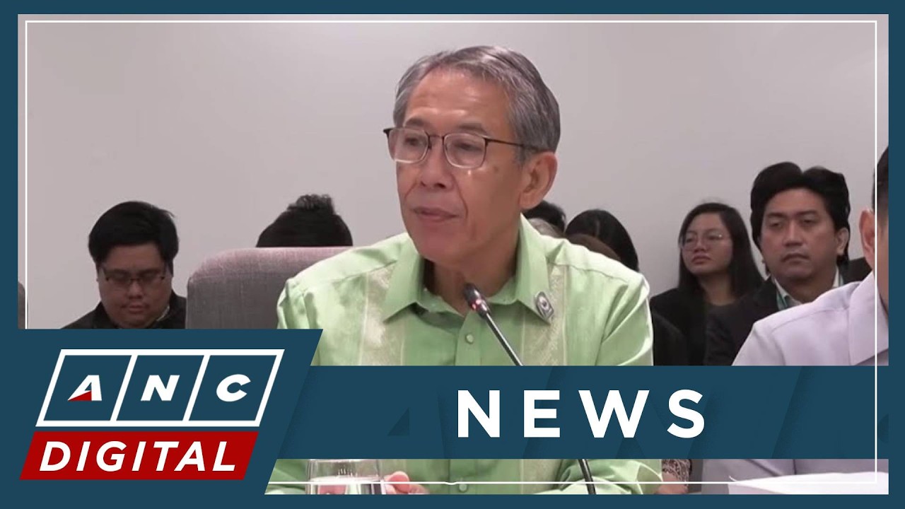 Diokno disagrees with argument Duterte's actions as VP, DepEd secretary must be separated | ANC