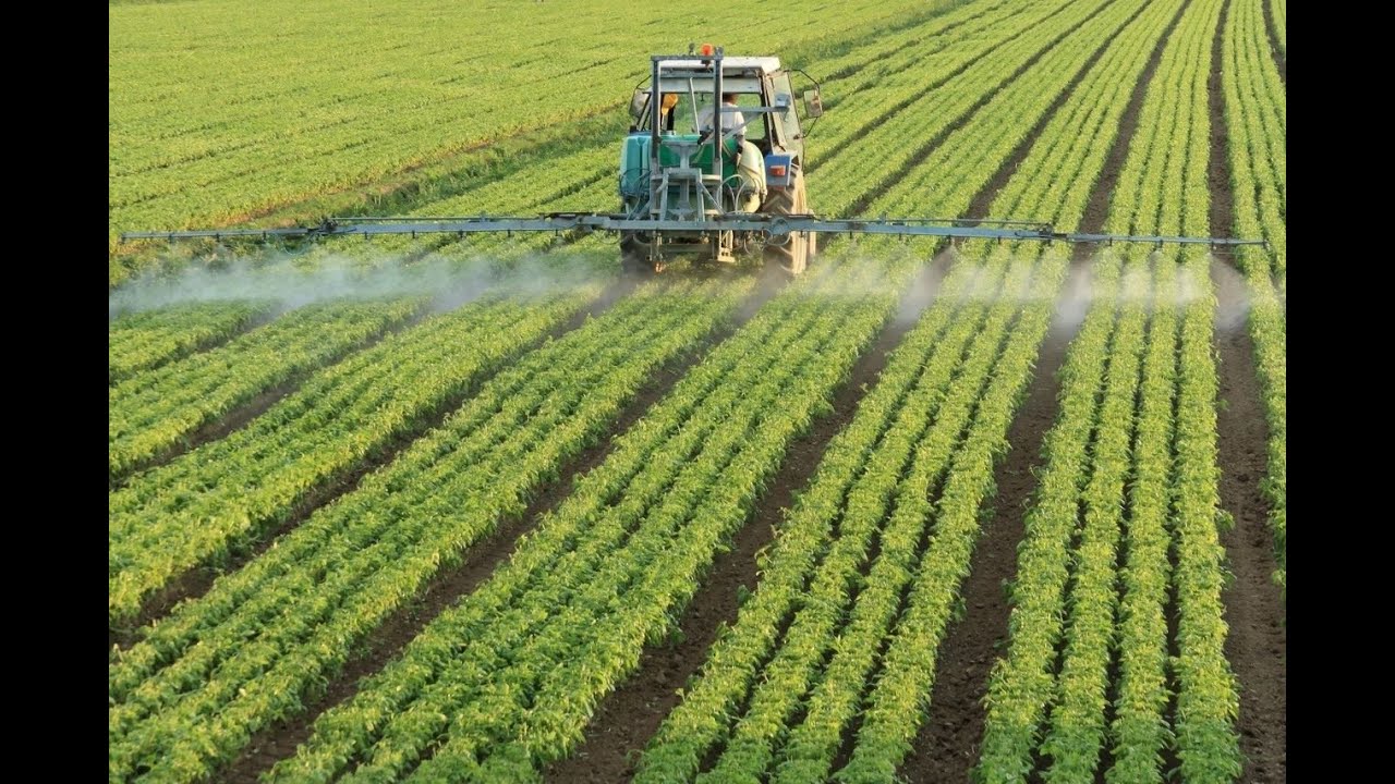 CURSO DE ENSAYOS DE EFICACIA:CARACTERISTICAS FISICOQUIMICAS DE LOS PLAGUICIDAS