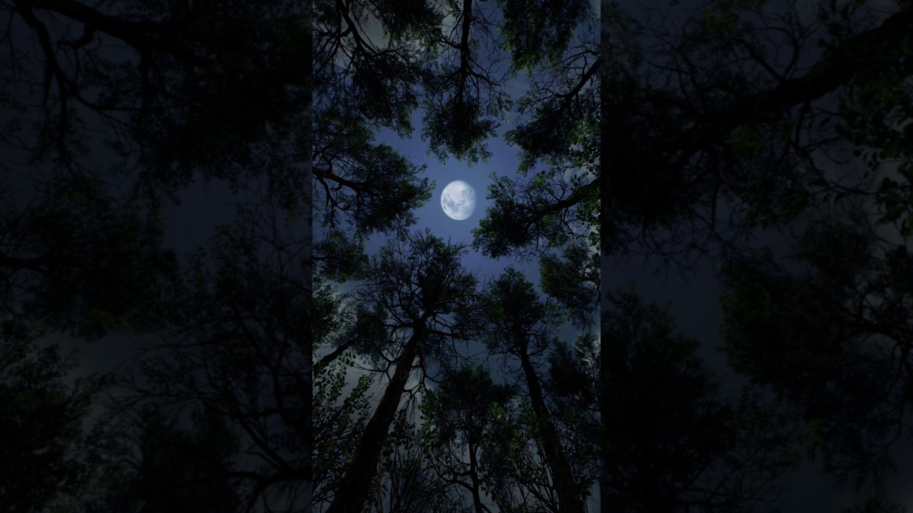 Unreal Engine 5 Moon Cinematic 🌙 #nature #ultrarealistic
