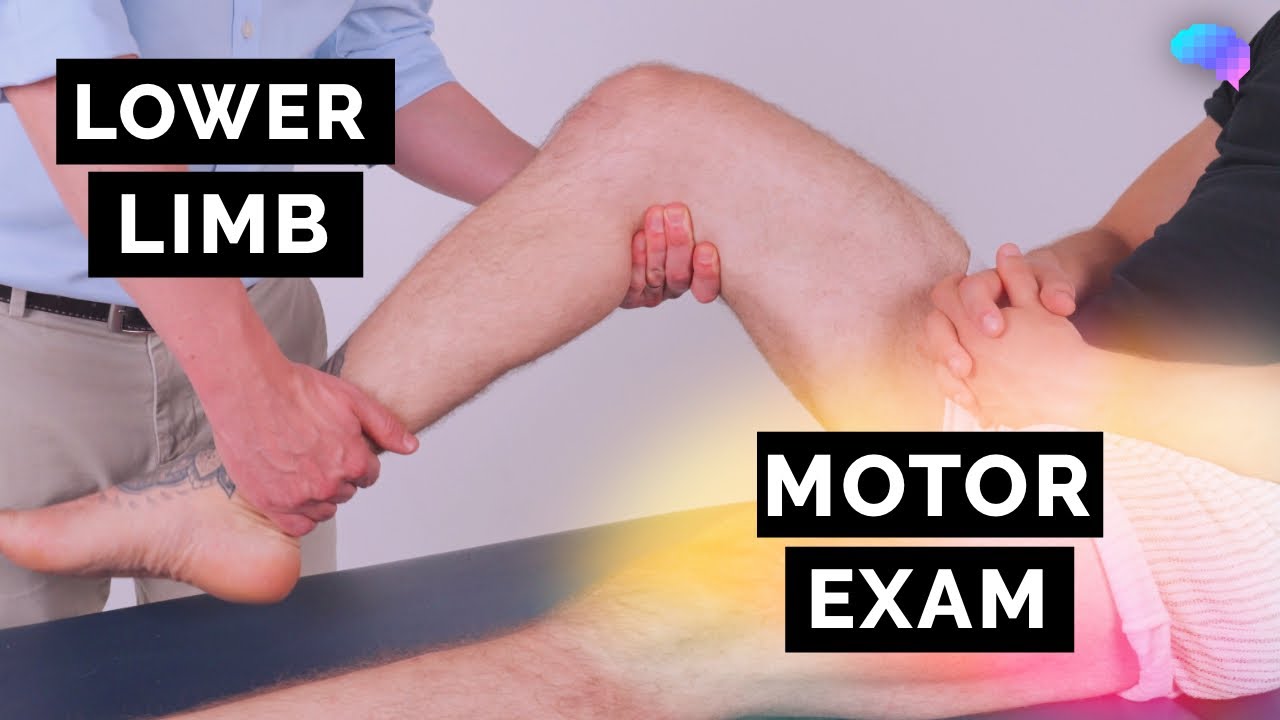 Оценка двигательной функции нижних конечностей — руководство OSCE | UKMLA | CPSA | PLAB 2