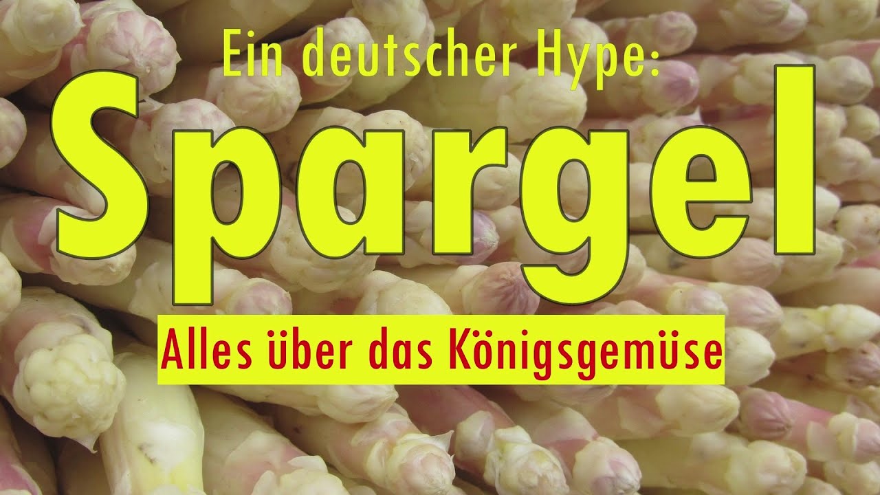 Spargel & Spargelzeit in Deutschland:  Alles über das Königsgemüse 🍽