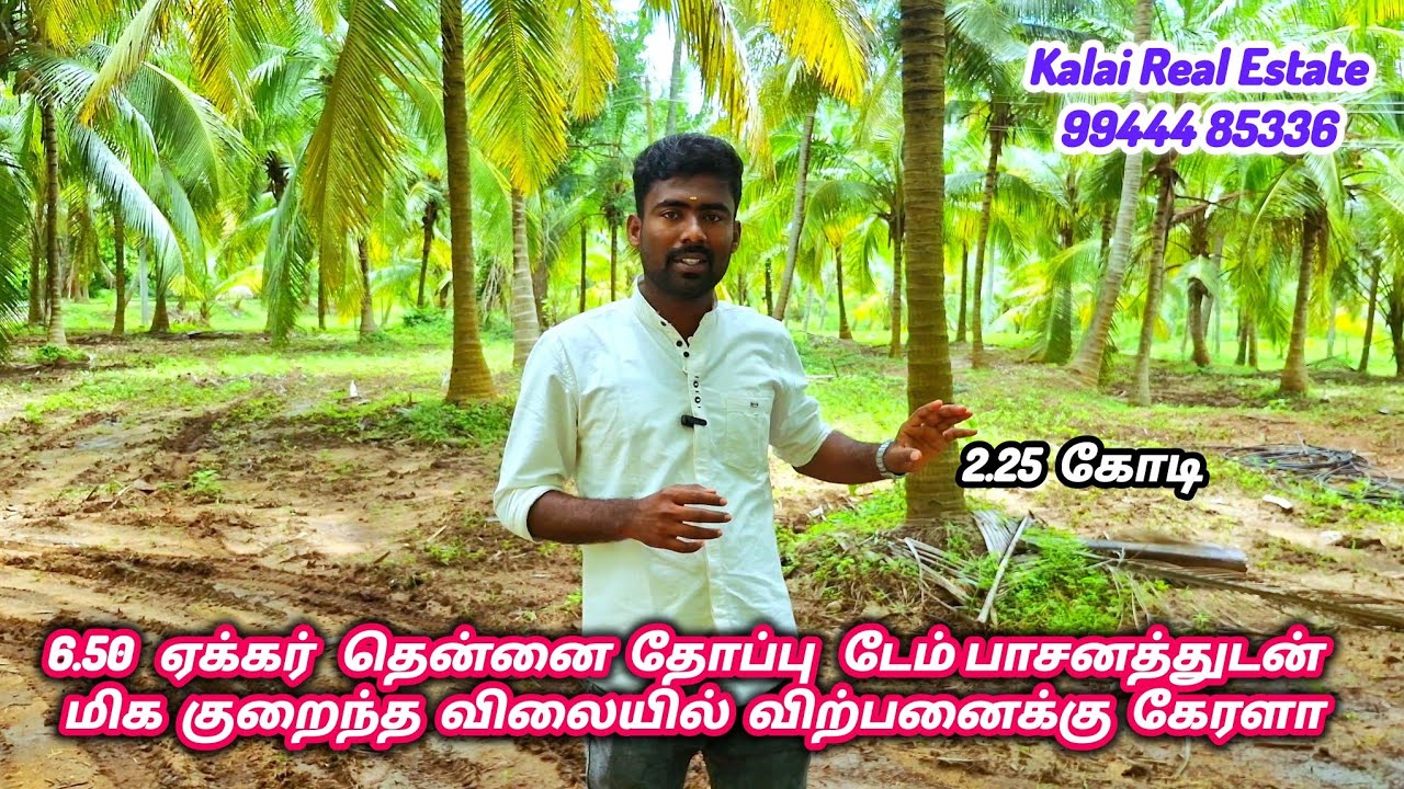 6.5 ஏக்கர் மிக குறைந்த விலையில் தென்னை தோப்பு விற்பனைக்கு  பொள்ளாச்சி  கேரளாவில் #pollachi #kerala