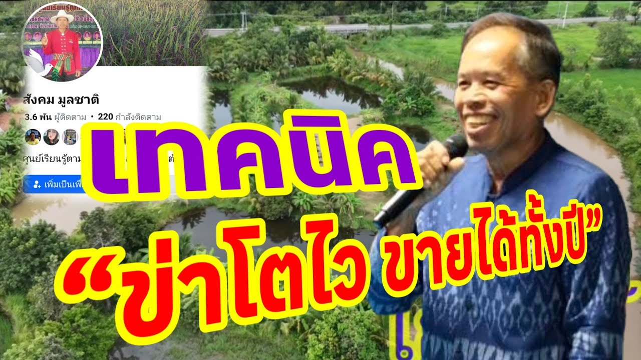 “พลิกสวนว่างให้มีค่า! ปลูกข่าทำเงินได้จริง”