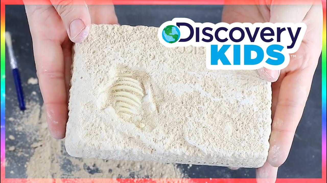 Discovery Kids Dinosaur Excavation Kit &ndash; Triceratops