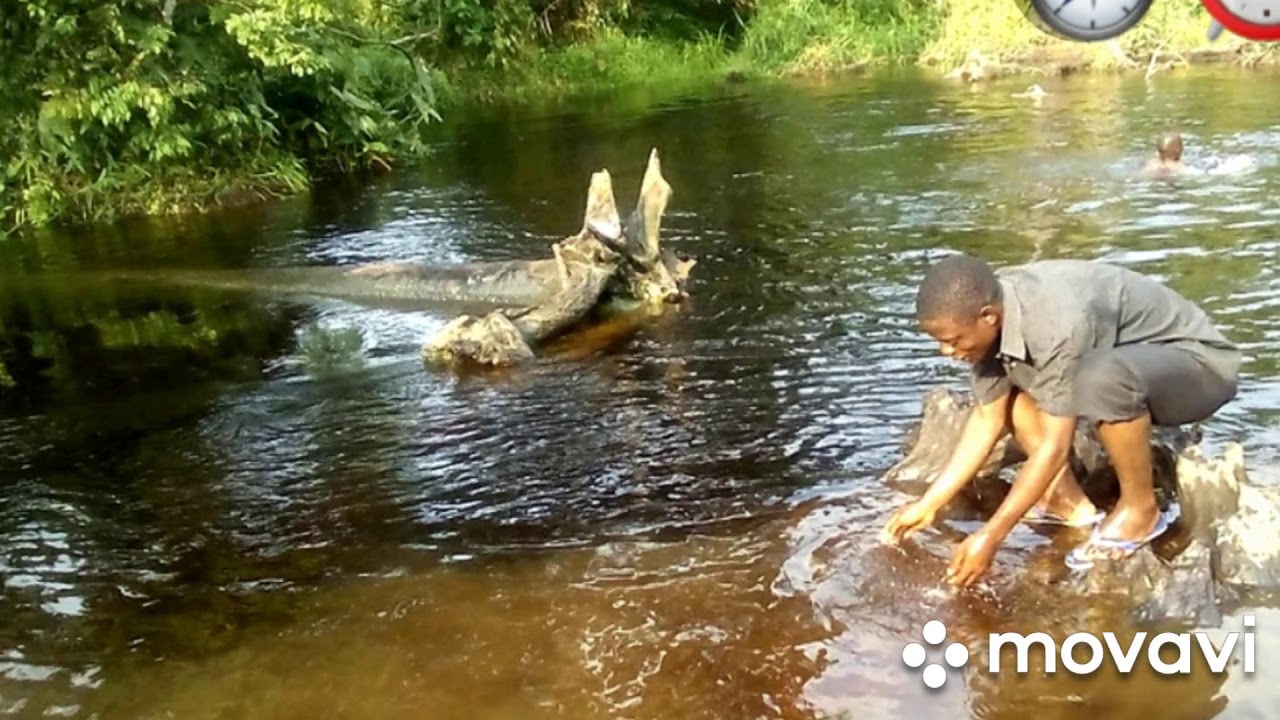Otetela:  wonya ayo hoto, new version.
