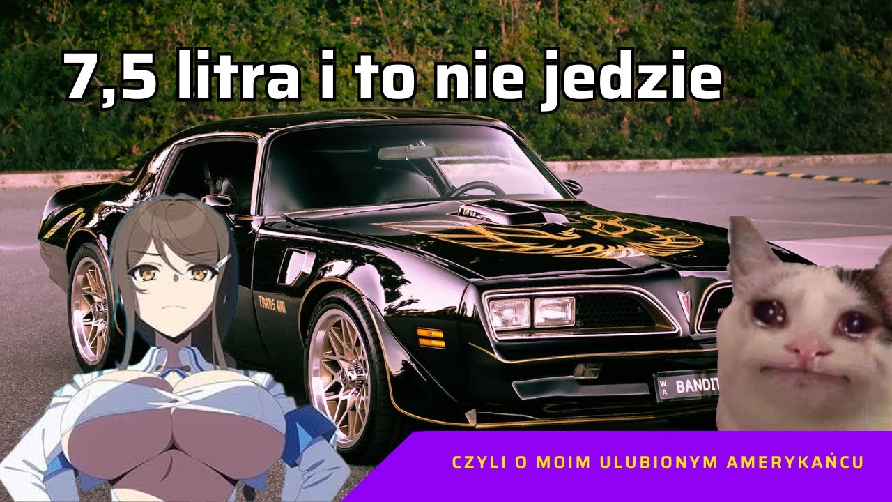 trans am
