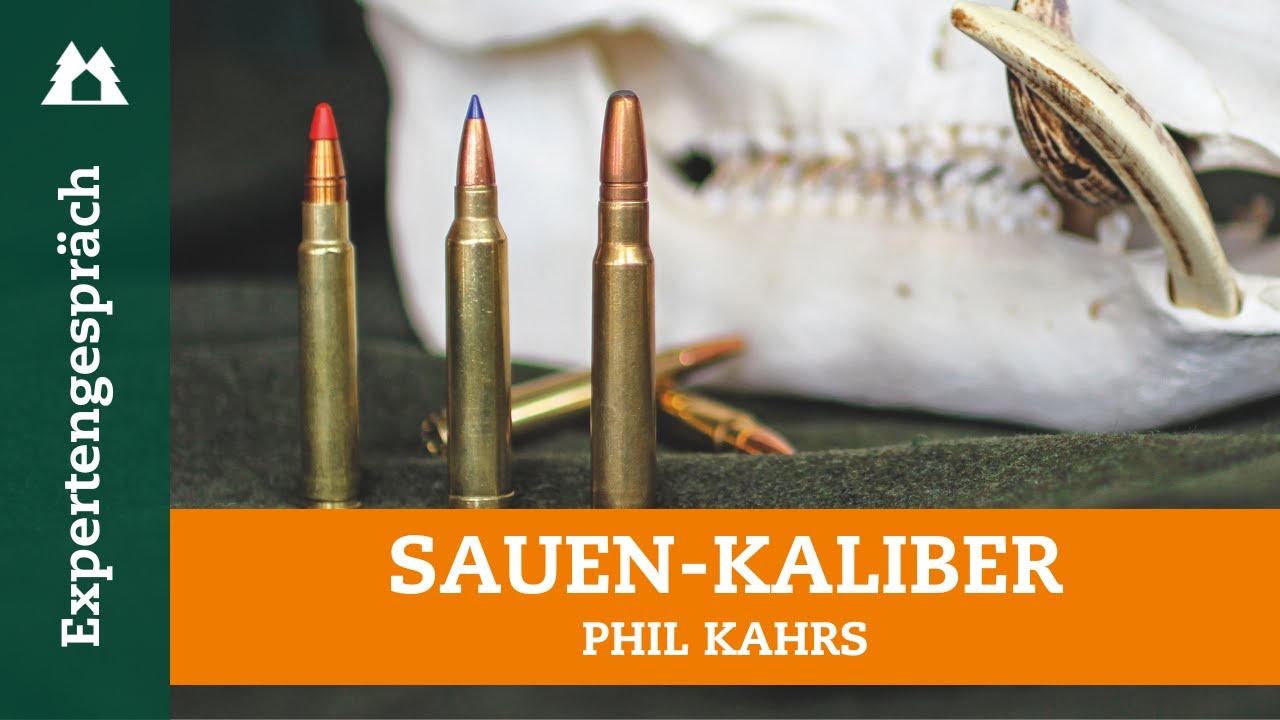 Schwarzwild-Kaliber im Check: Diese Patronen kannst du bei der Sauenjagd einsetzen!