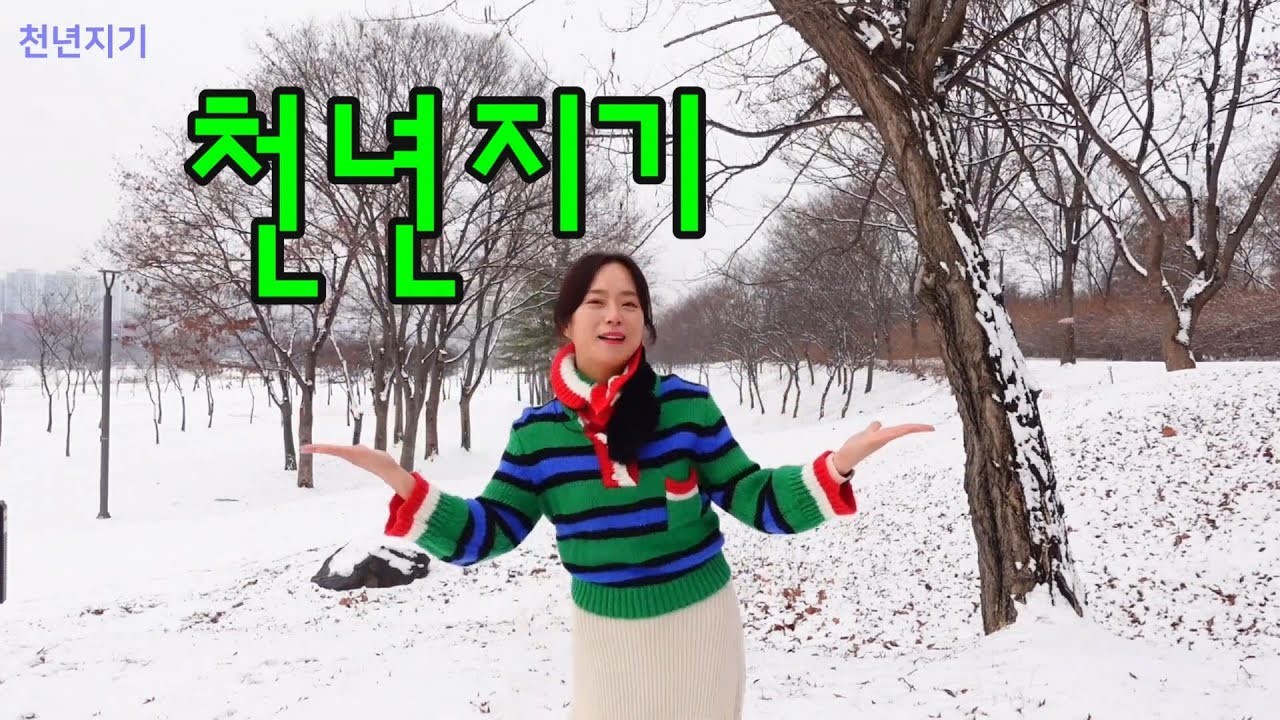 [실버체조] 천년지기