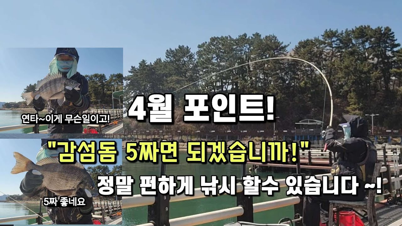 가족과 함께하면 진짜 좋은 4월포인트 5짜 나오는 가족 낚시터에서 편하게 낚시 하세요