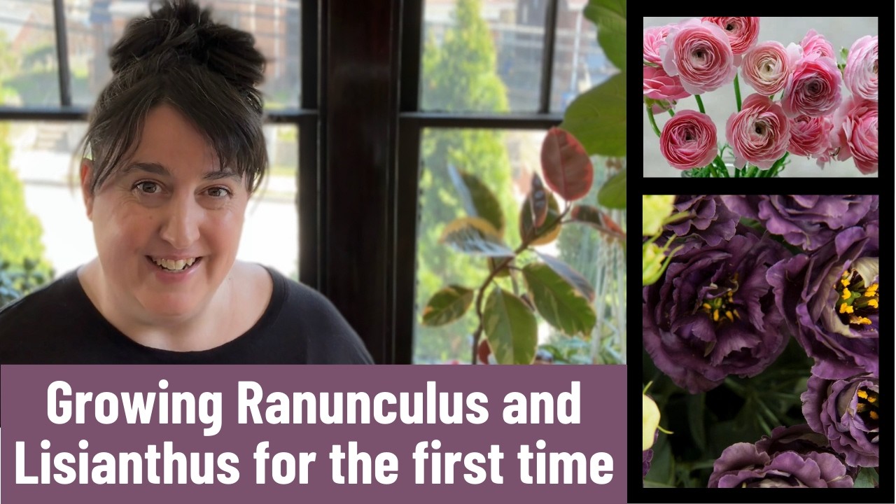Brand New Garden! Plant some ranunculus and lisianthus with me