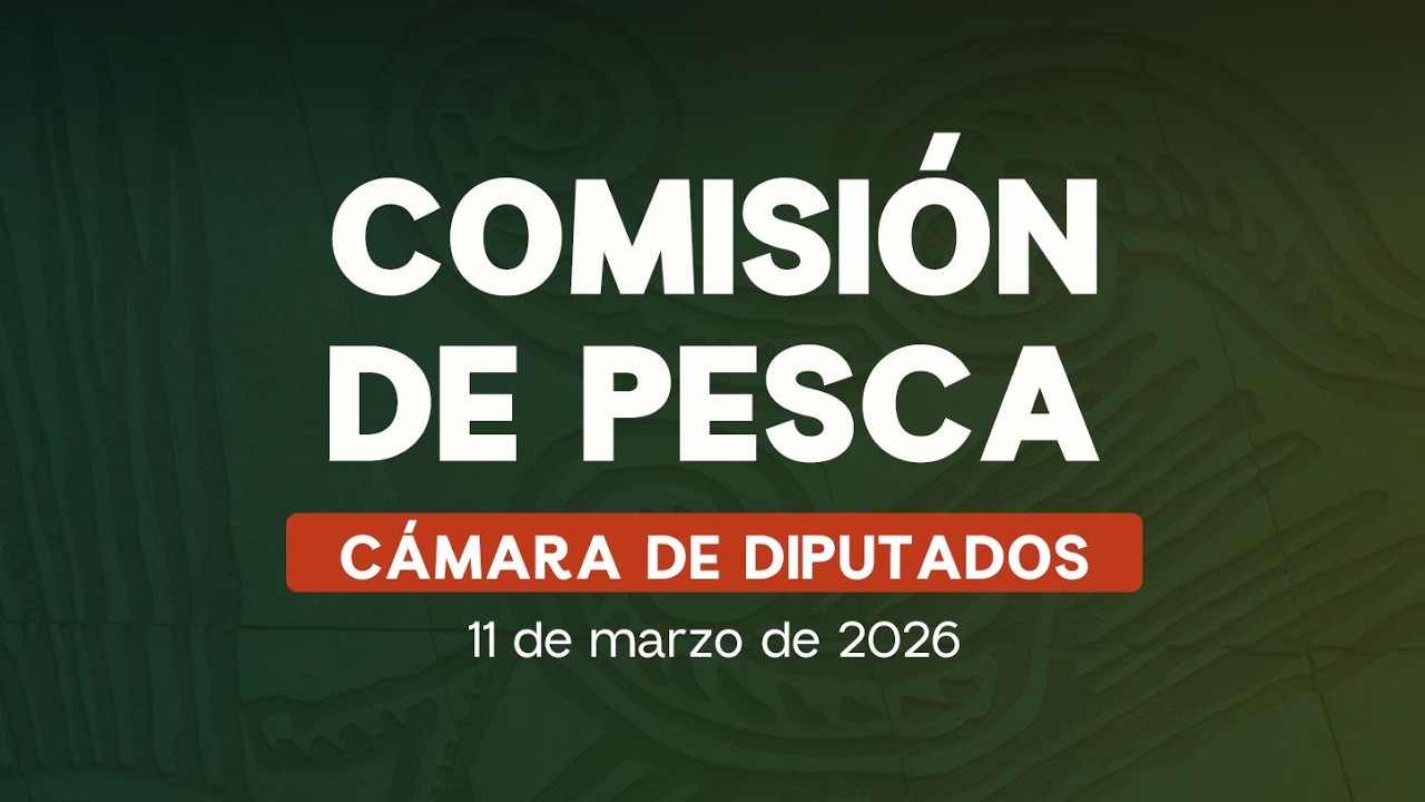 🔴Reunión de la Comisión de Pesca de la Cámara de Diputados - 11/03/2026
