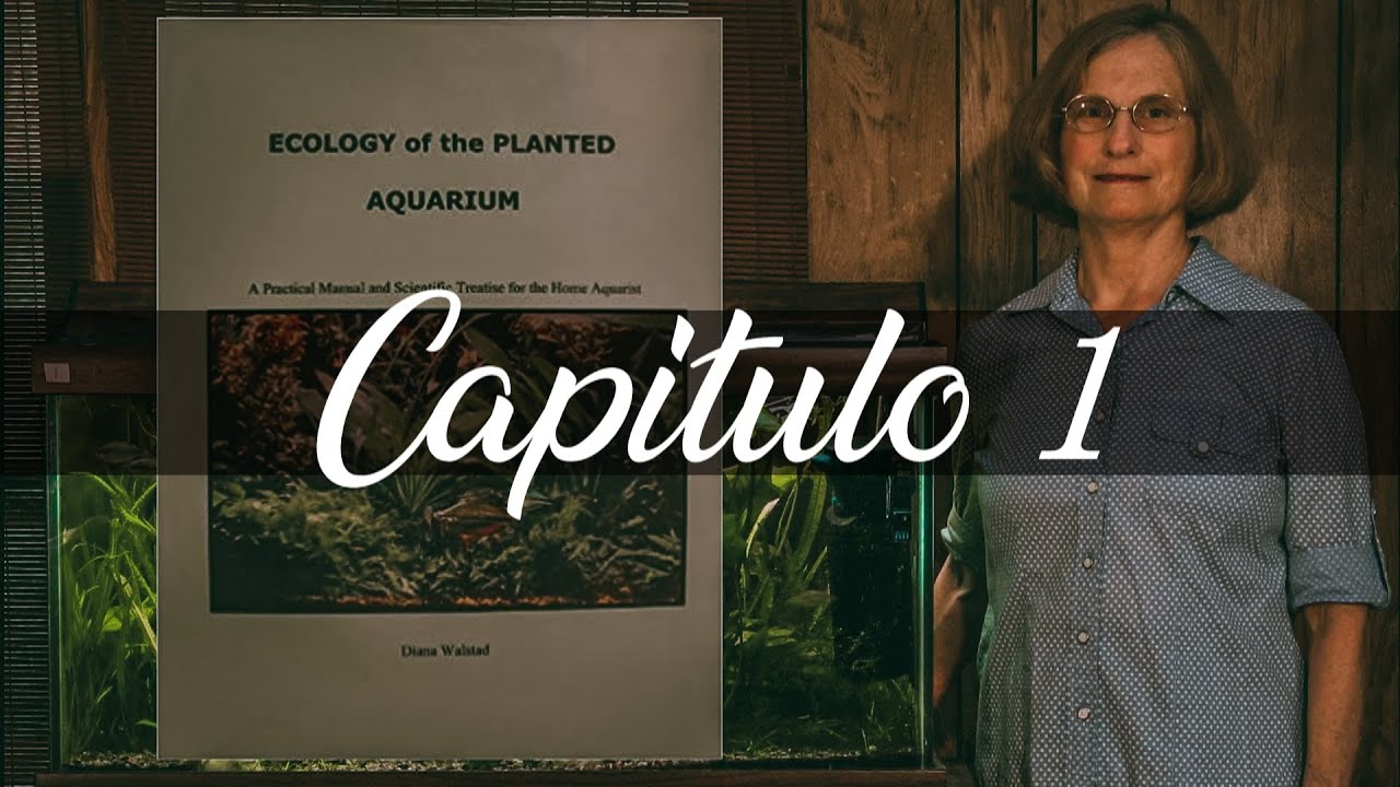 🌀 INTRODUCCIÓN - Ecología del Acuario Plantado. (Diana Walstad) [1/11]