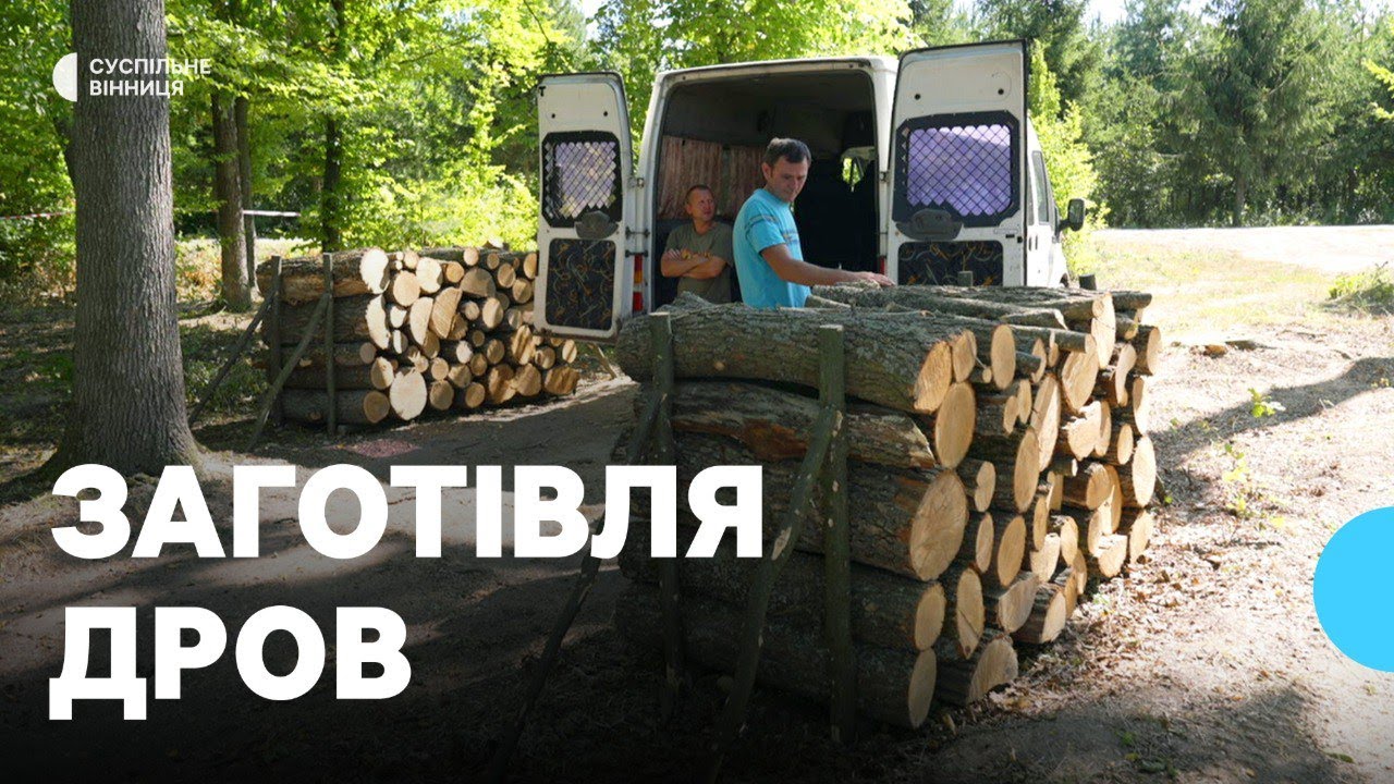 Заготівля дров на зиму: які породи пропонують та скільки коштує кубічний метр на Вінниччині