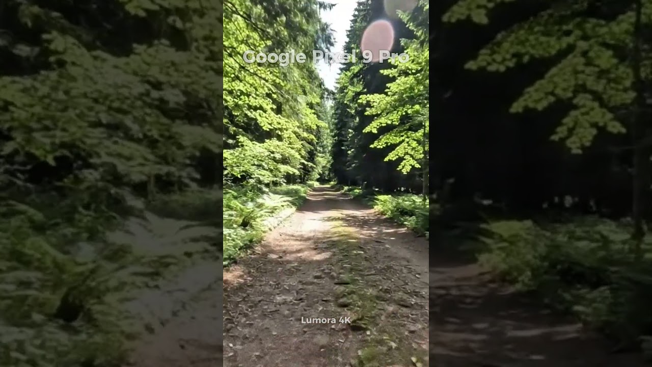 Google Pixel 9 Pro – Real 4K Camera Test (HDR, Stabilization & Detail Review)