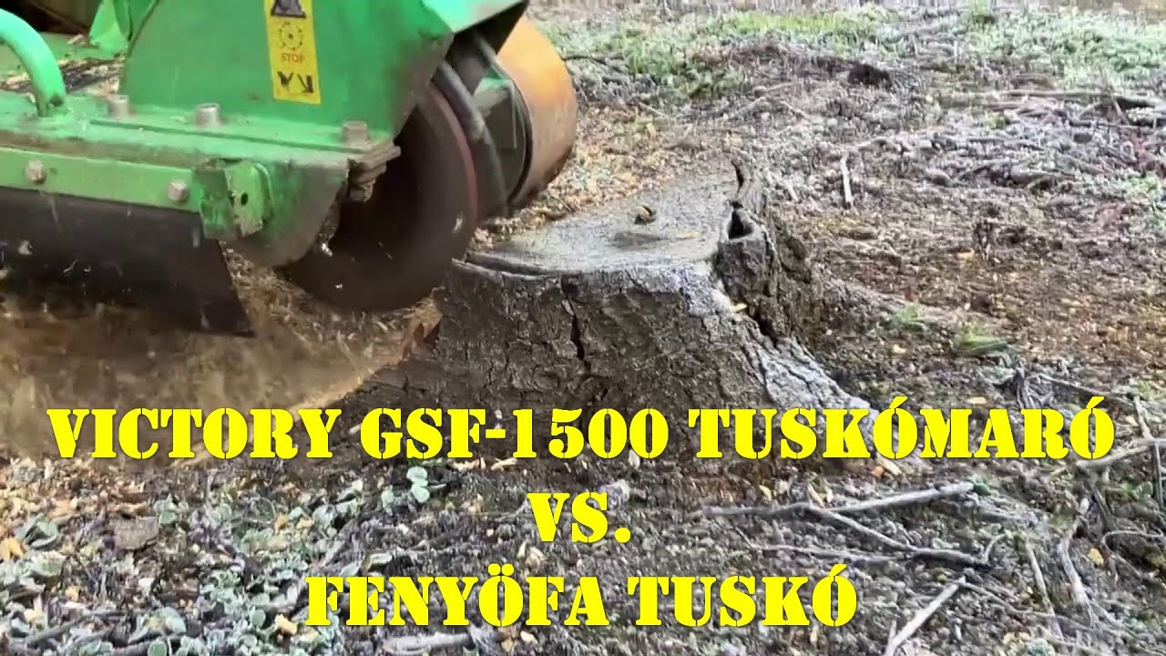 Victory GSF-1500 tuskómaró vs. Fenyőfa tuskó (40 cm átmérő)