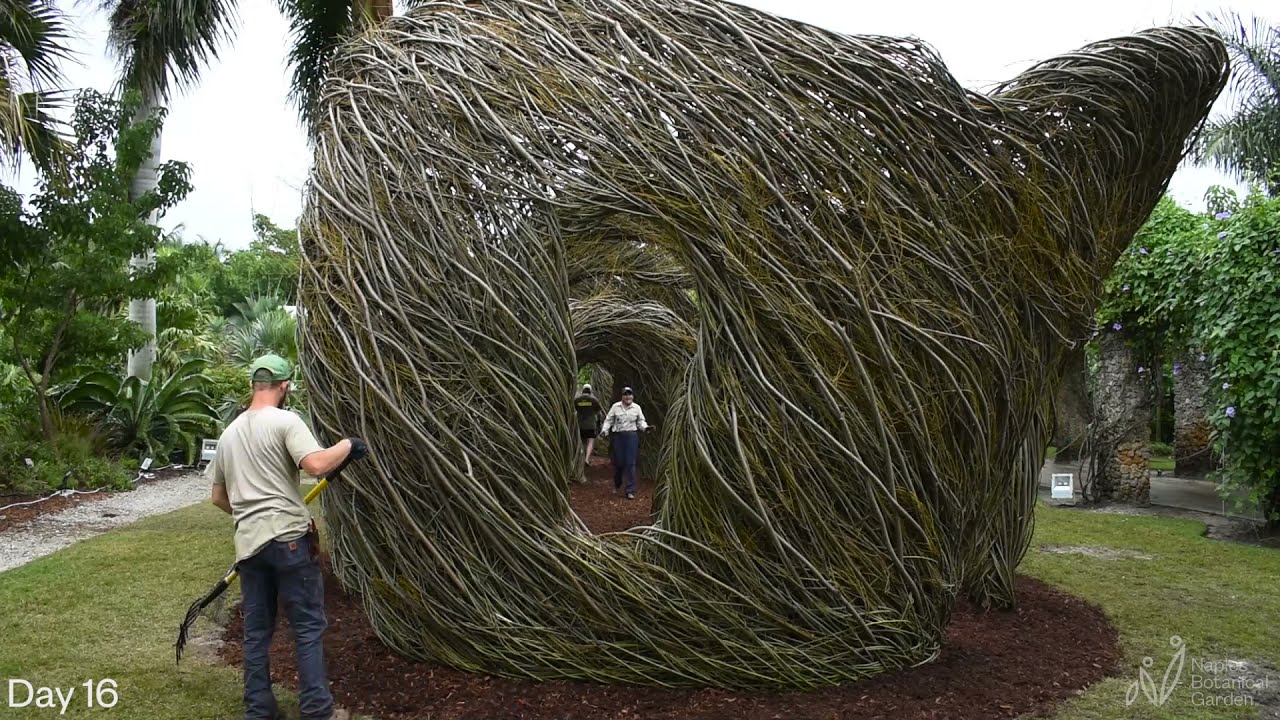 Timelapse of STICKWORK at Naples Botanical Garden