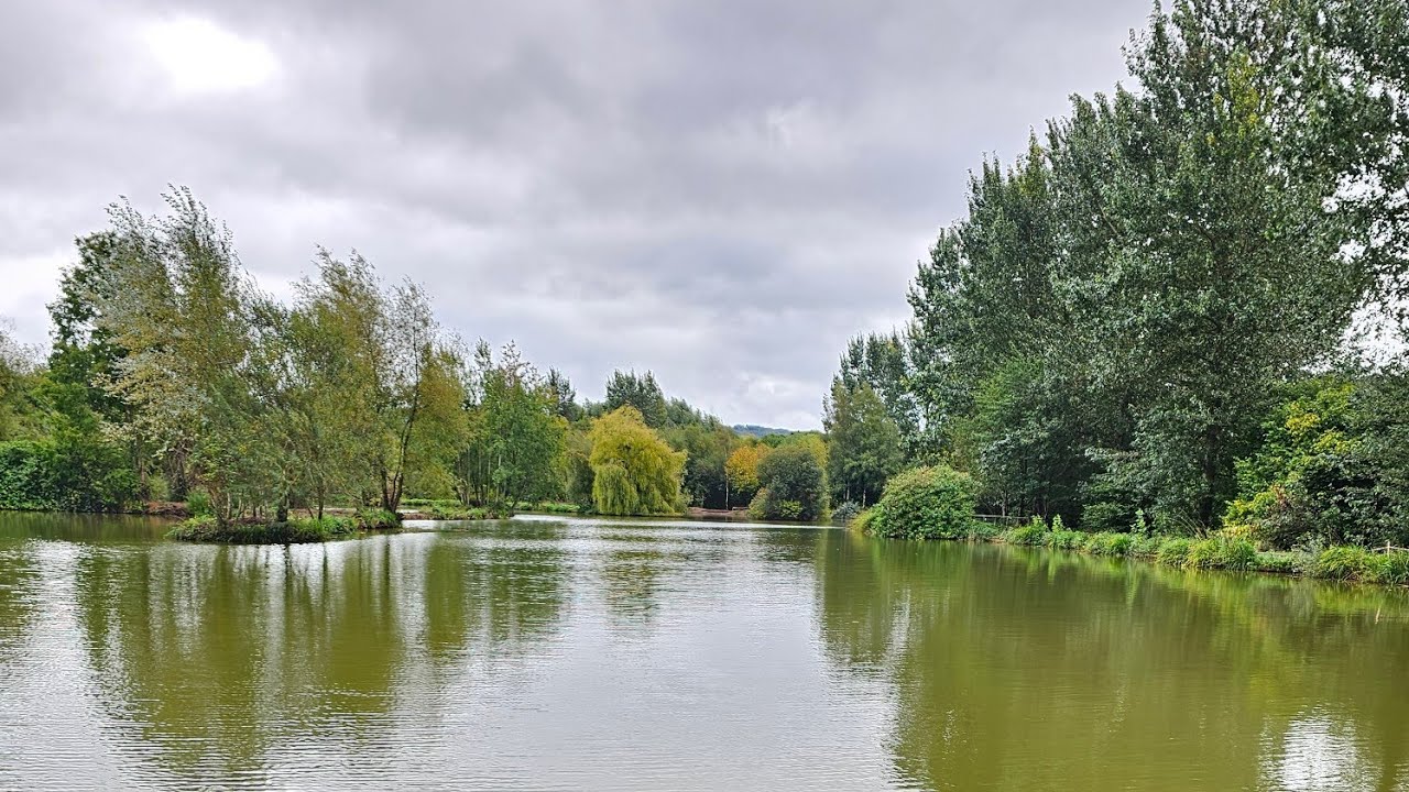 Fishery development works at Goodiford Mill. Collumpton.