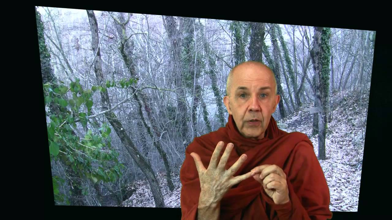 Mindfulness and Dhamma for Insiders