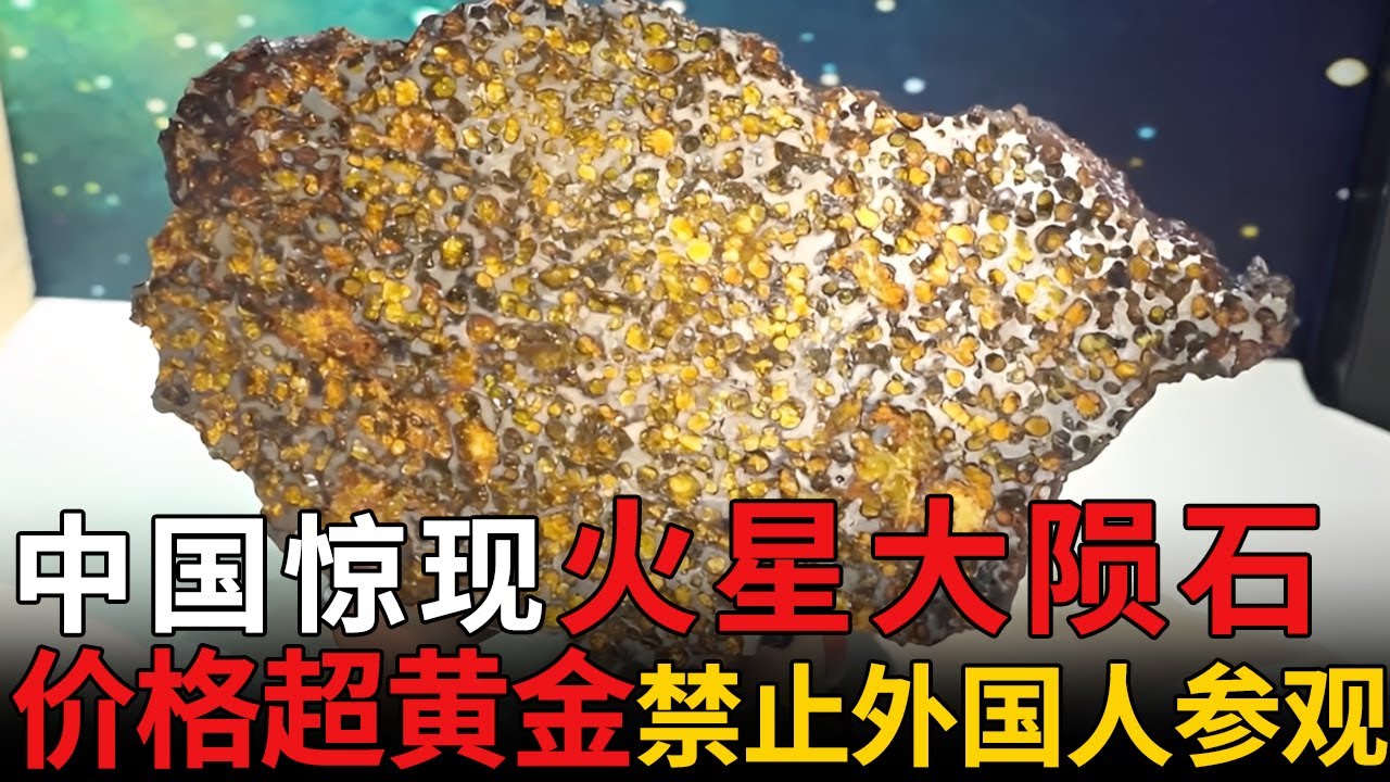 中国惊现火星大陨石，价格不可估量，内藏神秘橄榄原石，禁止外国人参观【瑰宝】#月球#文物#收藏