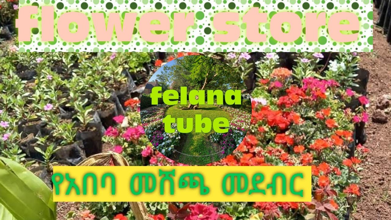 የአበባ ችግኝ መሸጫ መደብር/Flower seedling shop