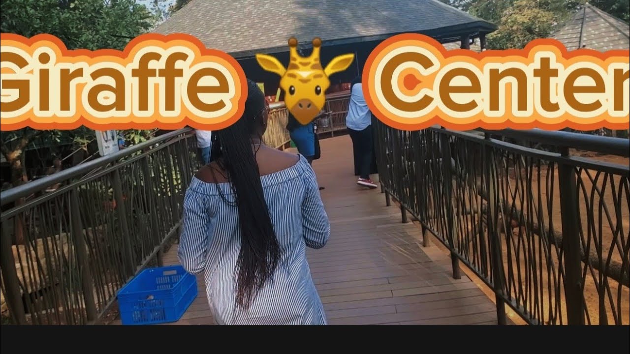 Best Places To Visit In Nairobi-Kenya-Giraffe Center at $3