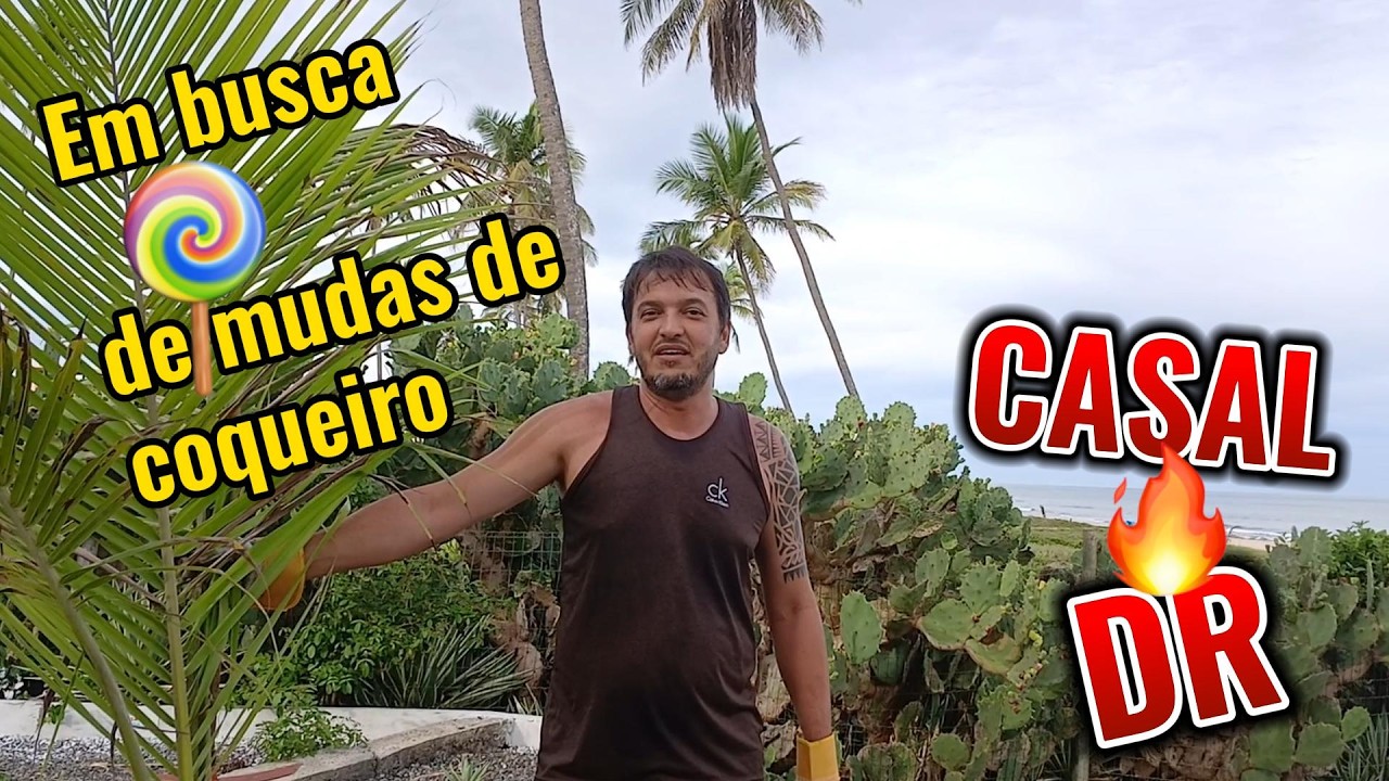 Novas mudas de Coqueiros para replantar.