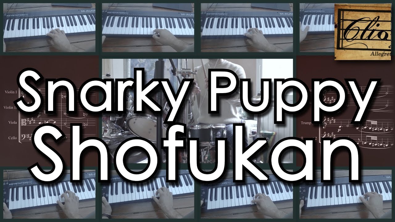 Snarky Puppy - Shofukan (1 Man, 19 Instruments Cover)