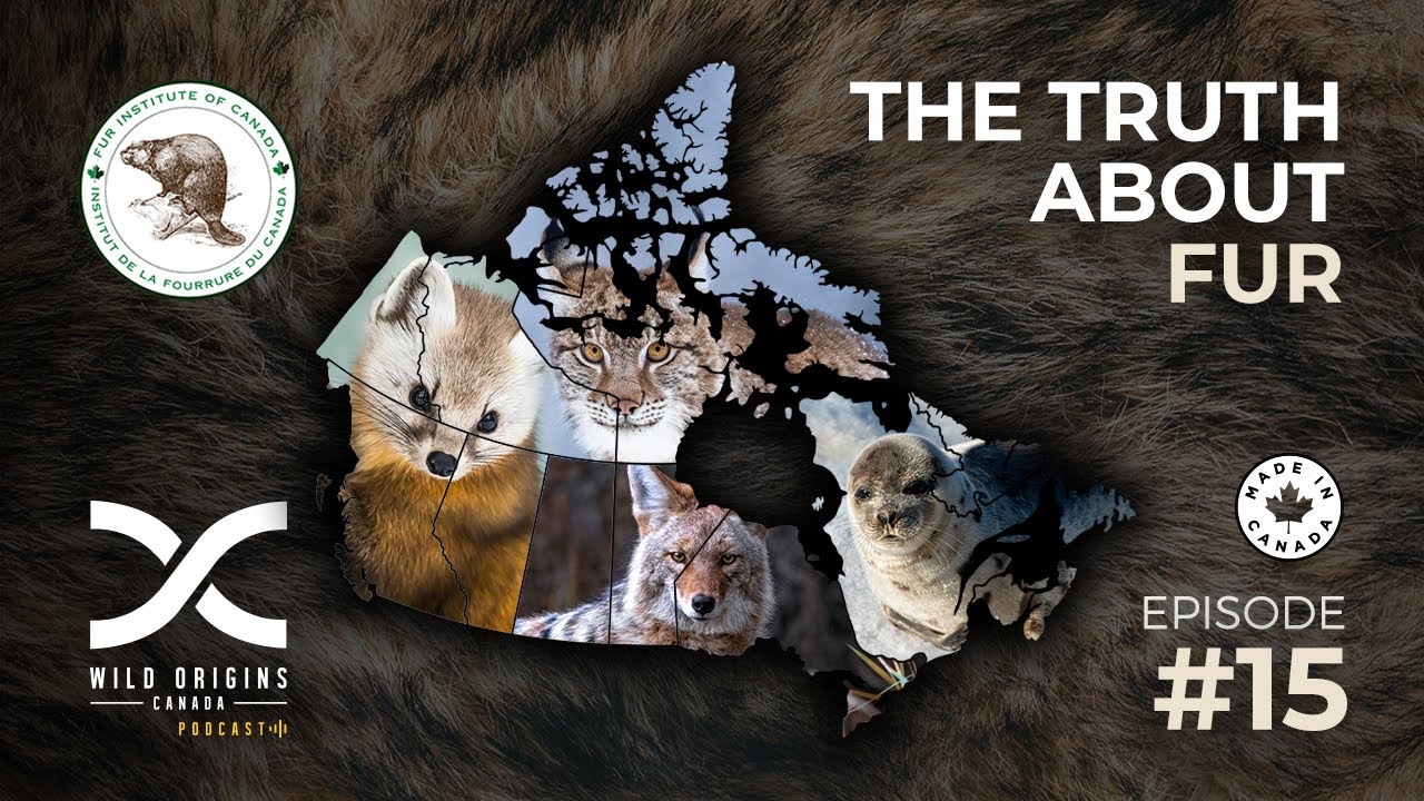 The Future of Fur: Challenges and Opportunities || Ep. 15