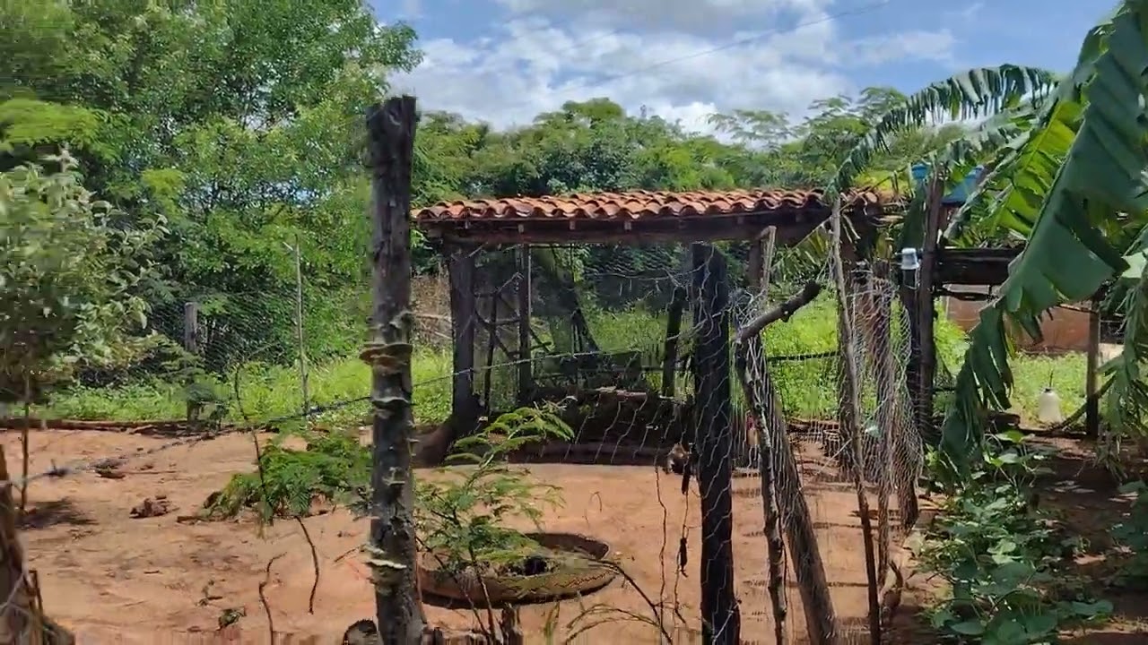 já vendeu Chácara em Januária Mg 3.300mt quadrado valor 120.000 mil reais