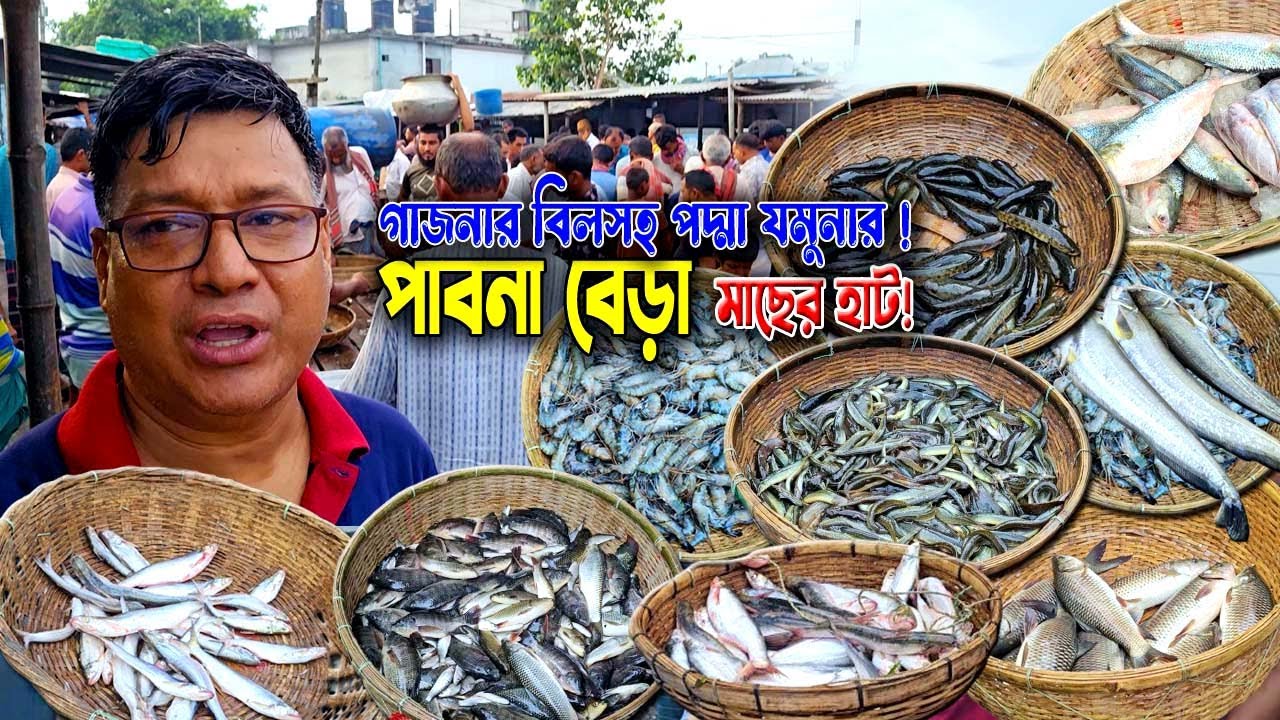 চতুর হাট পাবনা | দেশি মাছের পাইকারি ও খুচরা বিক্রি | পদ্মা–যমুনা–গাজনার বিলের মাছ