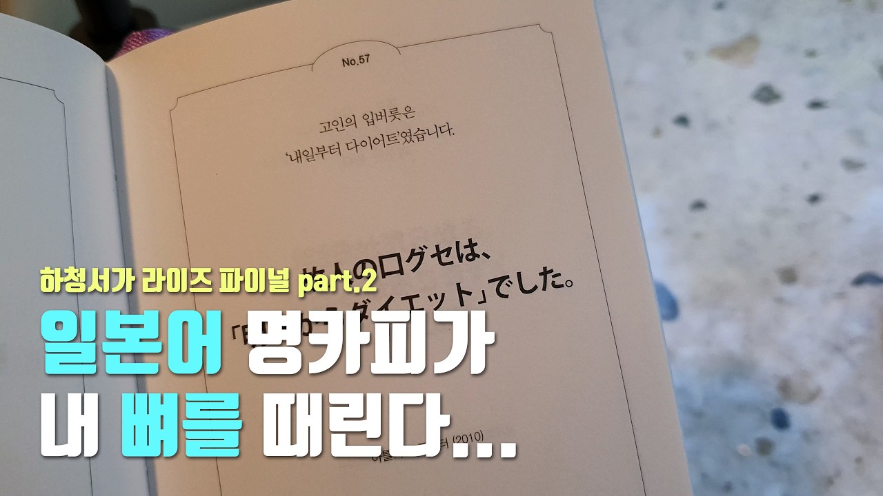 [최초공개] 하청서가 라이즈 파이널 part.2 | 독서브이로그 | 영상털기 | 해운대 | 일본어명카피핸드북 | 밀실수집가 | 지관서가