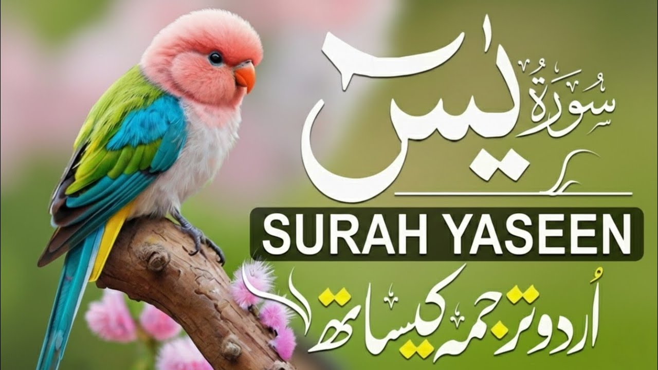 Surah Yasin (Yaseen) with Urdu and Hindi translation | Heart Of The Quran | Qari Mansoor Ghaznavi