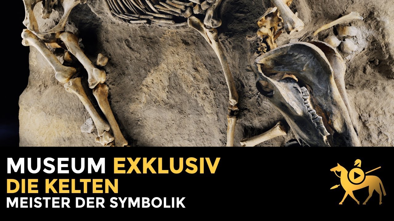 Die Kelten: Meister der Symbolik | Museum exklusiv